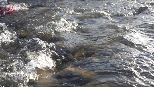 水 河流 慢动作 河流 小溪 水流 河道