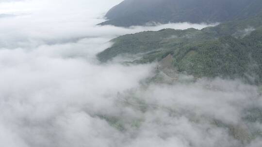 高清4K云海航拍山区森林风光风景素材空镜