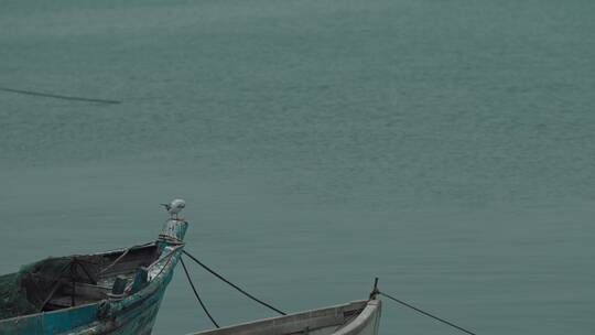 青岛海岸渔民