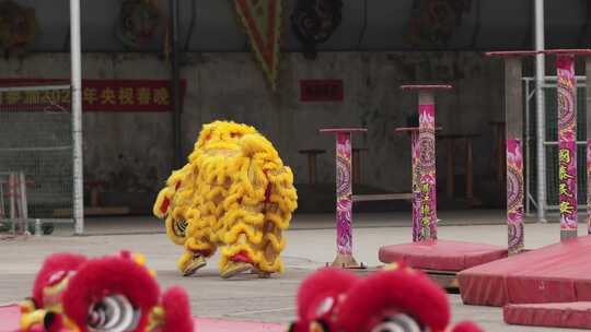 广东湛江遂溪非遗高桩醒狮