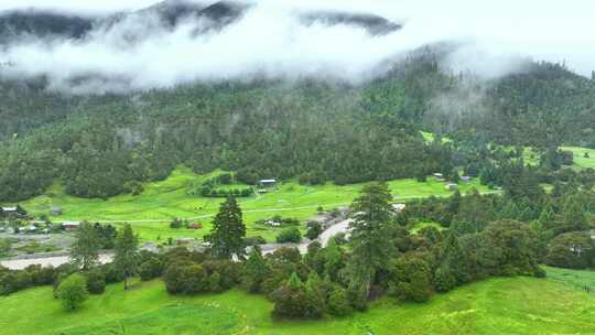 航拍西藏林芝旅游鲁朗高山牧场自然风景