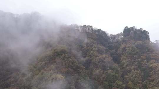 航拍秦岭秋景