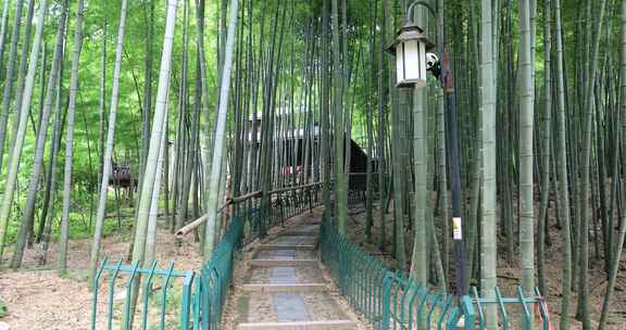 阳光竹林意境 天然氧吧 常熟虞山