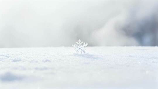 唯美冬季雪地单颗雪花微距特写视频