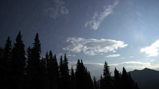 森林前景星空延时摄影