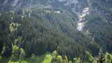 瑞士阿尔卑斯山风暴焚风中树木花粉森林的时间推移高清在线视频素材下载