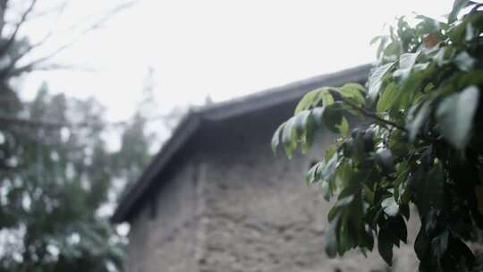 广西玉林鹏垌村老房子特精心