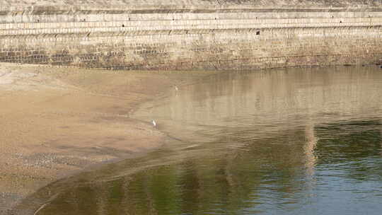 集美 鳌园 沙滩 白鹭 海边 岸边