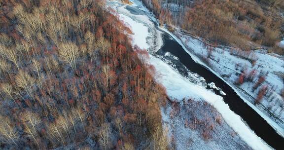 航拍大兴安岭森林风光、红树头