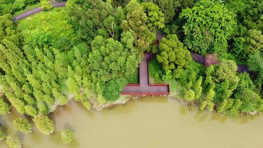 春天广州海珠国家湿地公园航拍视频素材模板下载