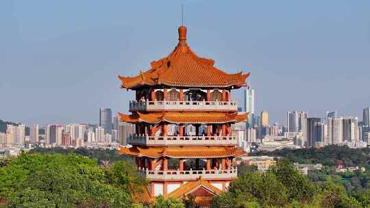 广州鸿鹄楼