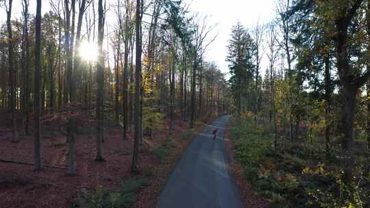 孤独道路上的山地自行车手。秋季用mavi