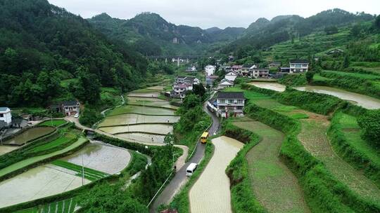 校车抵达学校视频素材模板下载