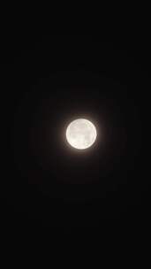 中秋满月圆月月光竖屏