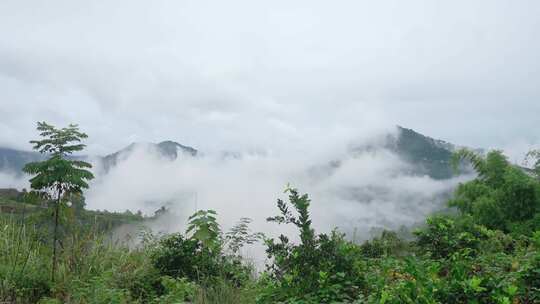 大山里的云雾