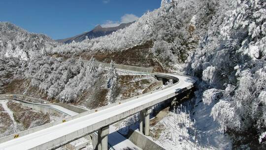 无人机航拍川西公路雪景雪地树上挂满雾凇