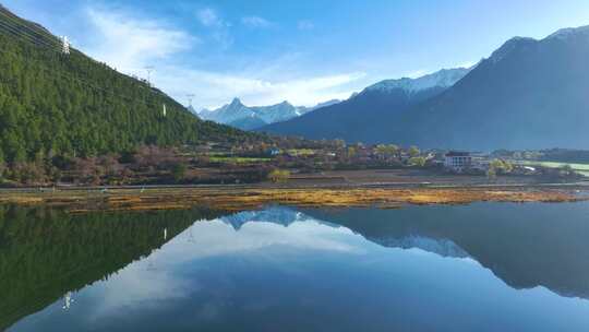 西藏林芝雪山森林
