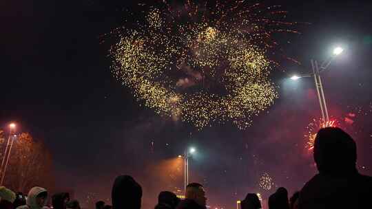 烟花4k慢放新年烟花春节元旦烟花秀