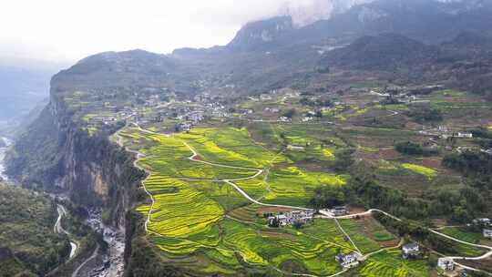 湖北恩施5A景区大峡谷绝壁花海航拍