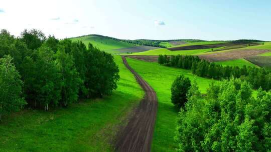 绿色田野间的蜿蜒乡村小路