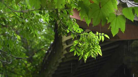 雨天古风建筑屋檐下雨水滴意境