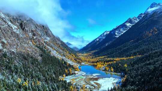 雪山下多彩树林与湖泊相映的美景