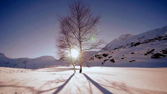 冬季夕阳下雪地上的树的倒影延时摄影