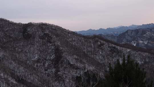 冬天 冬季 寒冷 凄凉 冷漠