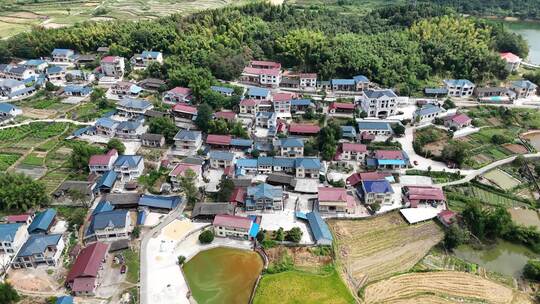 南方农田稻田秋收景色航拍