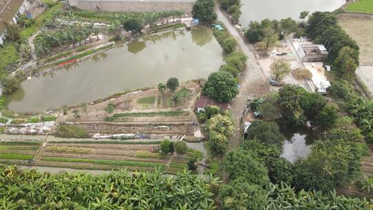 城郊农田航拍