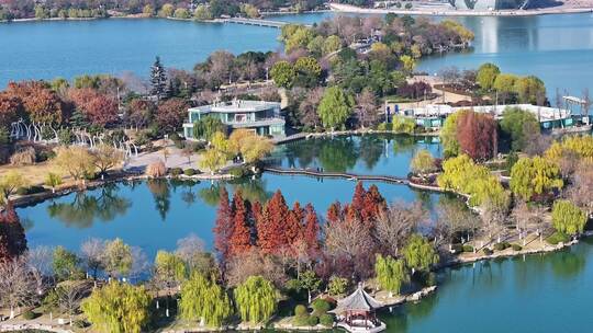 航拍深秋初冬徐州云龙湖风景区,红色水杉