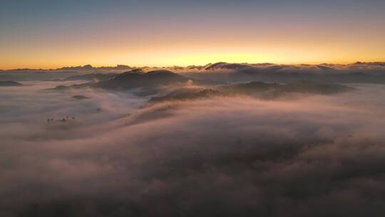 航拍茶山