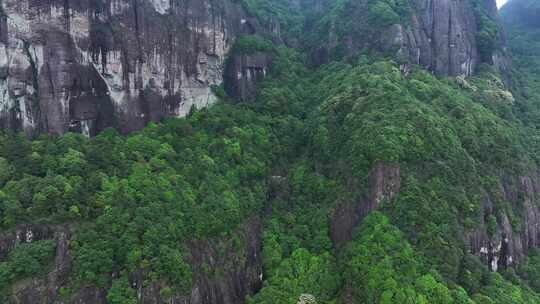 漳州灵通山