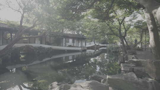 苏州园林景色 拙政园