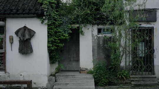 长满植物的门 墙上挂着簑衣 墙边的柳树