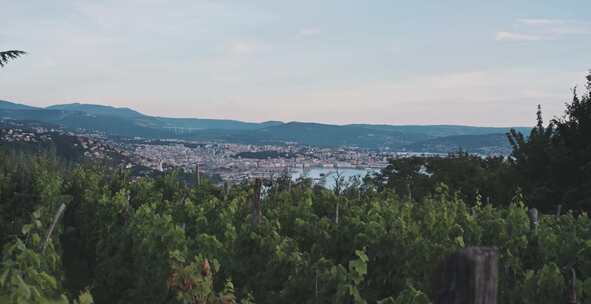 村庄，户外，风景，海