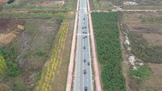 航拍婚礼车队行驶在公路大桥上