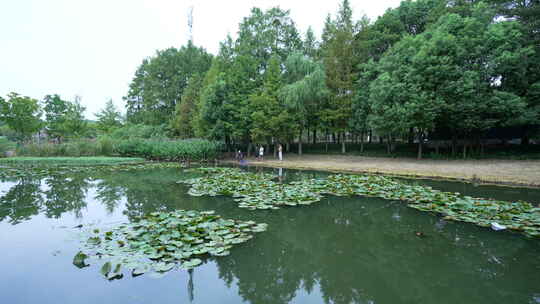 武汉光谷三路湿地公园风景