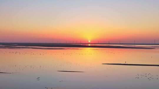 水面夕阳飞鸟风景