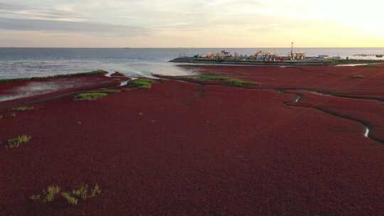 辽宁盘锦红海滩航拍