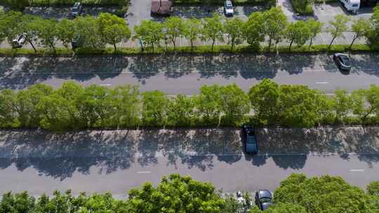 夏天树影道路停车场空镜