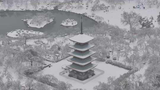 武汉樱园雪景视频素材模板下载