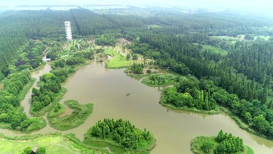 航拍上海崇明岛生态旅游岛