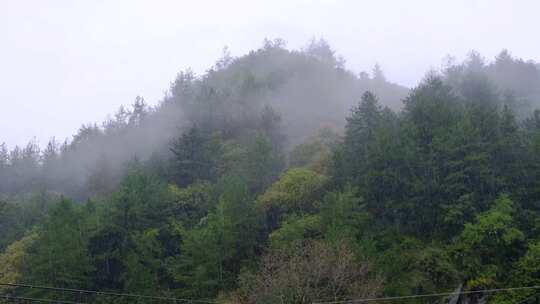 初秋雨中山脉云雾缭绕的绝美自然风光