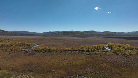 大兴安岭林区绰尔河湿地秋季风光