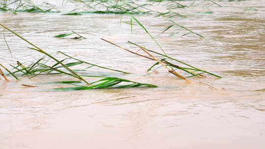 洪水河流泄洪