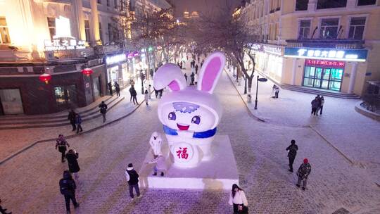哈尔滨中央大街兔子雪雕夜景航拍