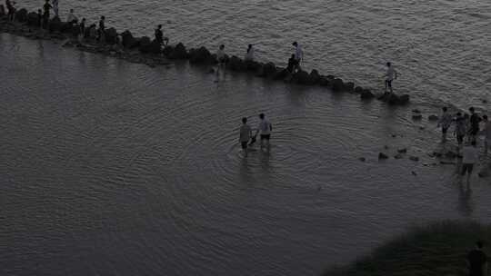 海面 滩涂 日出 朝霞 人群 海边 沙滩 航拍