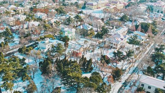 青岛雪景青岛冬天