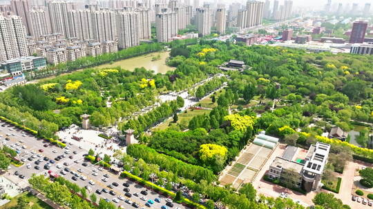 【合集】沧州名人植物园